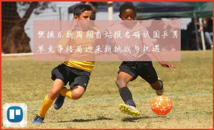 樊振东新周期首站报名确认国乒男单竞争格局迎来新挑战与机遇