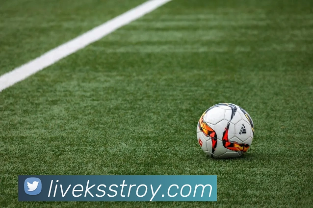 星空体育发展历程